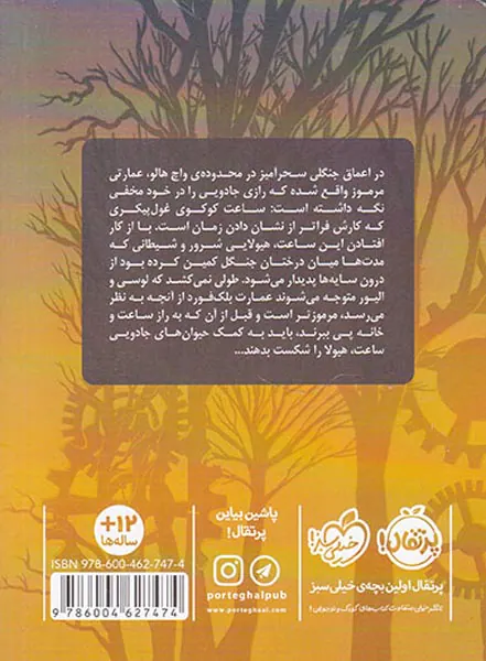 عمارت مرموز جلد یکم راز ساعت بلک فورد